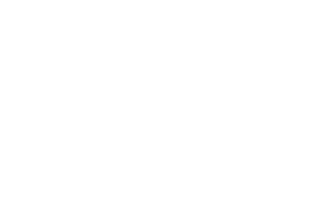 Maks & Hove Partners logo